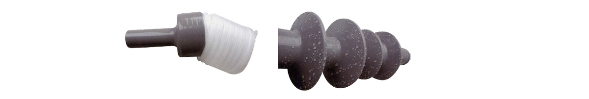 vista de la secci&oacute;n